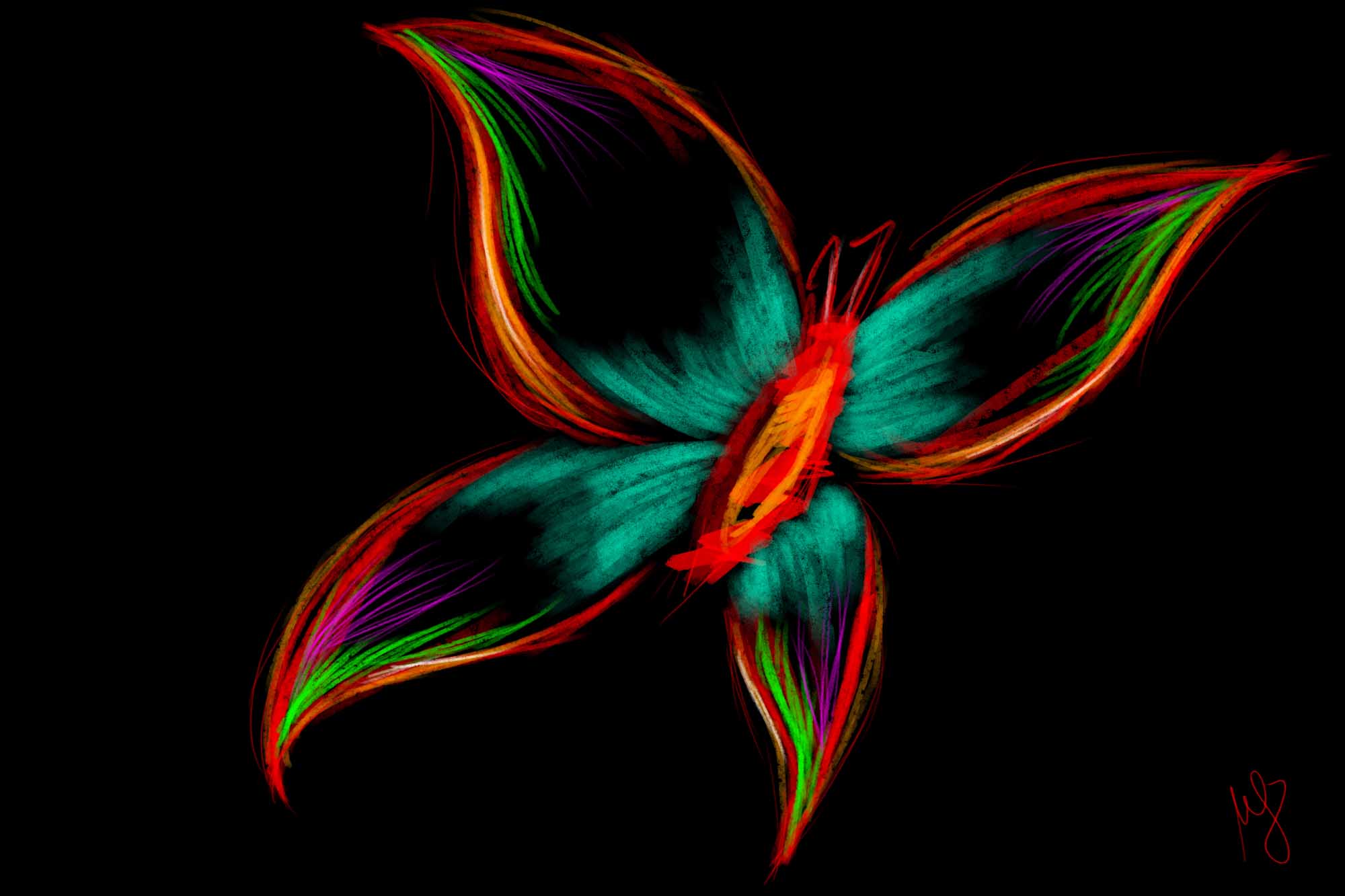Schmetterling